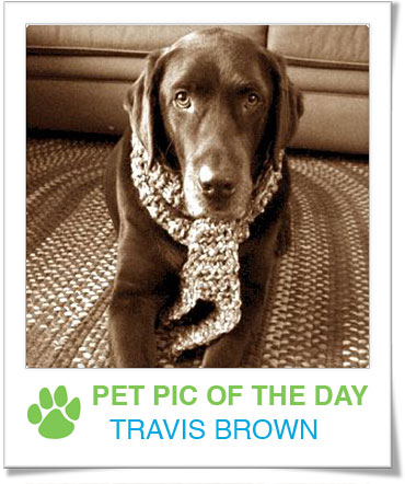 Pet Pics on PetSugar 2008-12-12 09:30:10