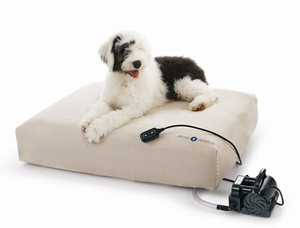 Sugar Shout Out: Win a Bed for Your Pet!