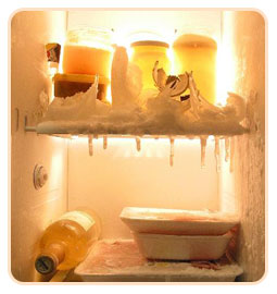 Frozen Assets