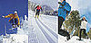 Calling All Snow Bunnies: Test Your Winter Sport Smarts