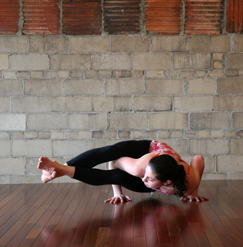 Strike a Yoga Pose: Eight Crooked Limbs 
