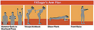 Free Exercise Plan for the Arms