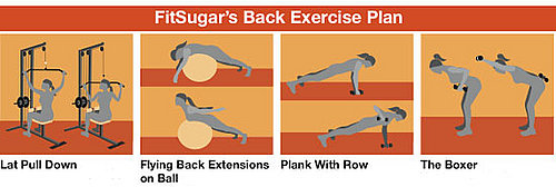 Free Exercise Plan for Strengthing and Toning the Back