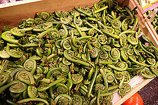 Fiddleheads in Season Now