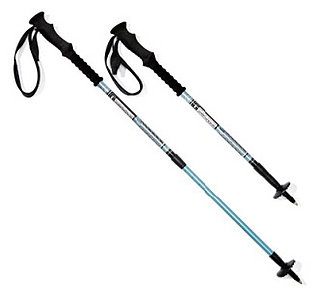 Into Hiking? Use Trekking Poles to Work Your Upper Body 