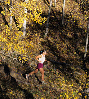 P.L.O.W. — Tunes For Trail Running