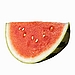 Melon
