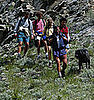 Rant About Dog Poo on the Hiking Trail