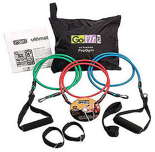 Fitness Gadget: GoFit Ultimate ProGym