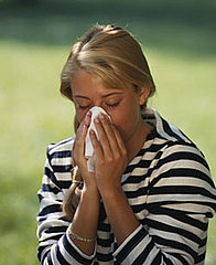Ragweed Allergies Are Upon Us