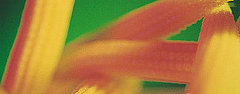 The Skinny On: High Fructose Corn Syrup The Skinny On: High Fructose Corn Syrup