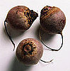 The Connection Between: Beets, Red Urine, and Iron