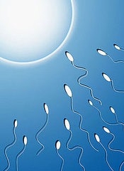 Test Your Sperm Smarts