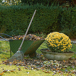 Do You Consider Raking Leaves Exercise?