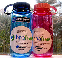 Did You Buy a BPA-Free Plastic Water Bottle? Did You Buy a BPA-Free Plastic Water Bottle?