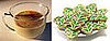 Which High-Calorie Holiday Treat Will You Avoid This Year?