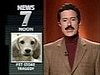 Stephen Colbert Spoofs Bill O'Reilly's Temper Tantrum