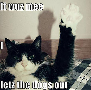 Mystery Solved!