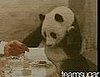 Panda Sneeze Mashup