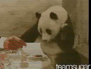 Panda Sneeze Mashup