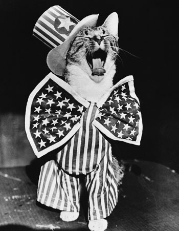 Happy Fourth of July!