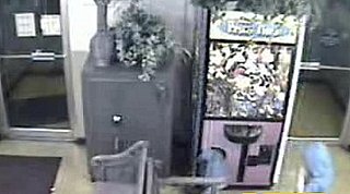 Little Kid Climbs into Game Machine Filled with Stuffed Animals
