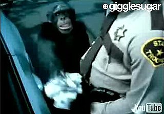 Trunk Monkey Commercial