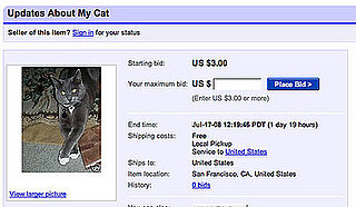eBay Find of the Day: Daily Cat Update