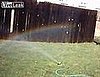 Woman Amazed by Sprinkler Rainbow
