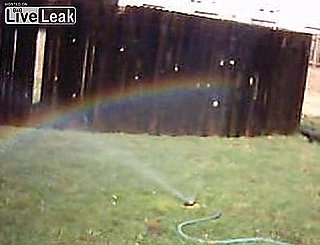 Woman Amazed by Sprinkler Rainbow