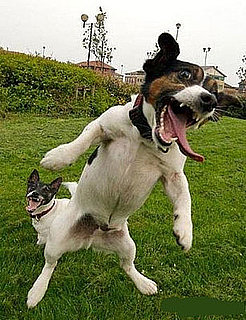 Whasssuuuup?!