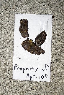 This Is One Way to Get Your Neighbors to Scoop Up After Their Dogs