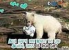 Children Sing Knut the Polar Bear Song in German
