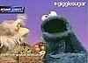 Cookie Monster on The Colbert Report