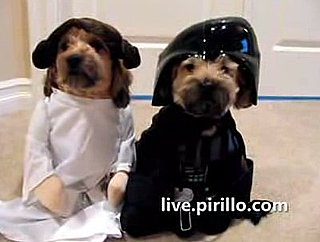 Dogs Dressed Up as Star Wars Characters