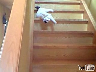 Cat Acts Like a Slinky