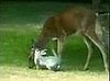 Bambi + Thumper + Cheesy Music = Awesome