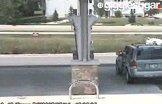 Man's Car Rolls Into Swamp While He Is at the Gas Station