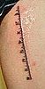 Dude Gets a Ruler Tatt