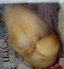 Sleeping Duckling Snores!