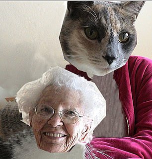 Cat Ladies