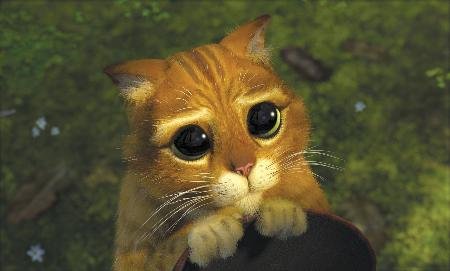 Awww — Puss in Boots Spinoff in the Works!