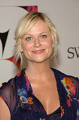 Amy Poehler Could Join New NBC Show from The Office Team
