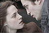 Buzz In: Why Do So Many Women Love Vampire Stories?