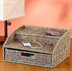 Seagrass Charging Station: Love It or Leave It?