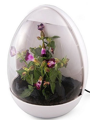 USB Greenhouse USB Greenhouse