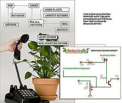 How to Not Kill Your Plants (with Technology)