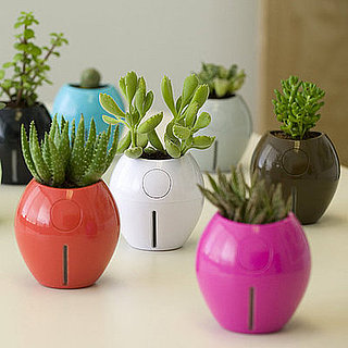 Karim Rashid's Grobal Plant Pots Are Self-Watering