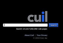 Website of the Day: Cuil 