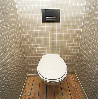 Website of the Day: The Bathroom Diaries 